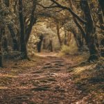 About Module2 Path 150x150